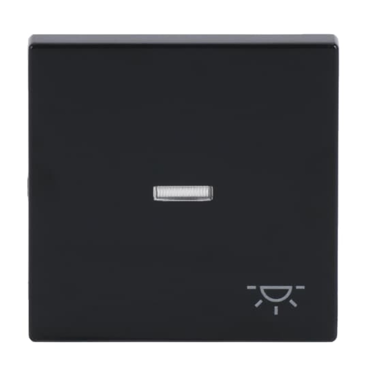 Rocker with legend Symbol "light" with Small Transparent Calotte for Switchpush button, Single rocker anthracite - Platform 63