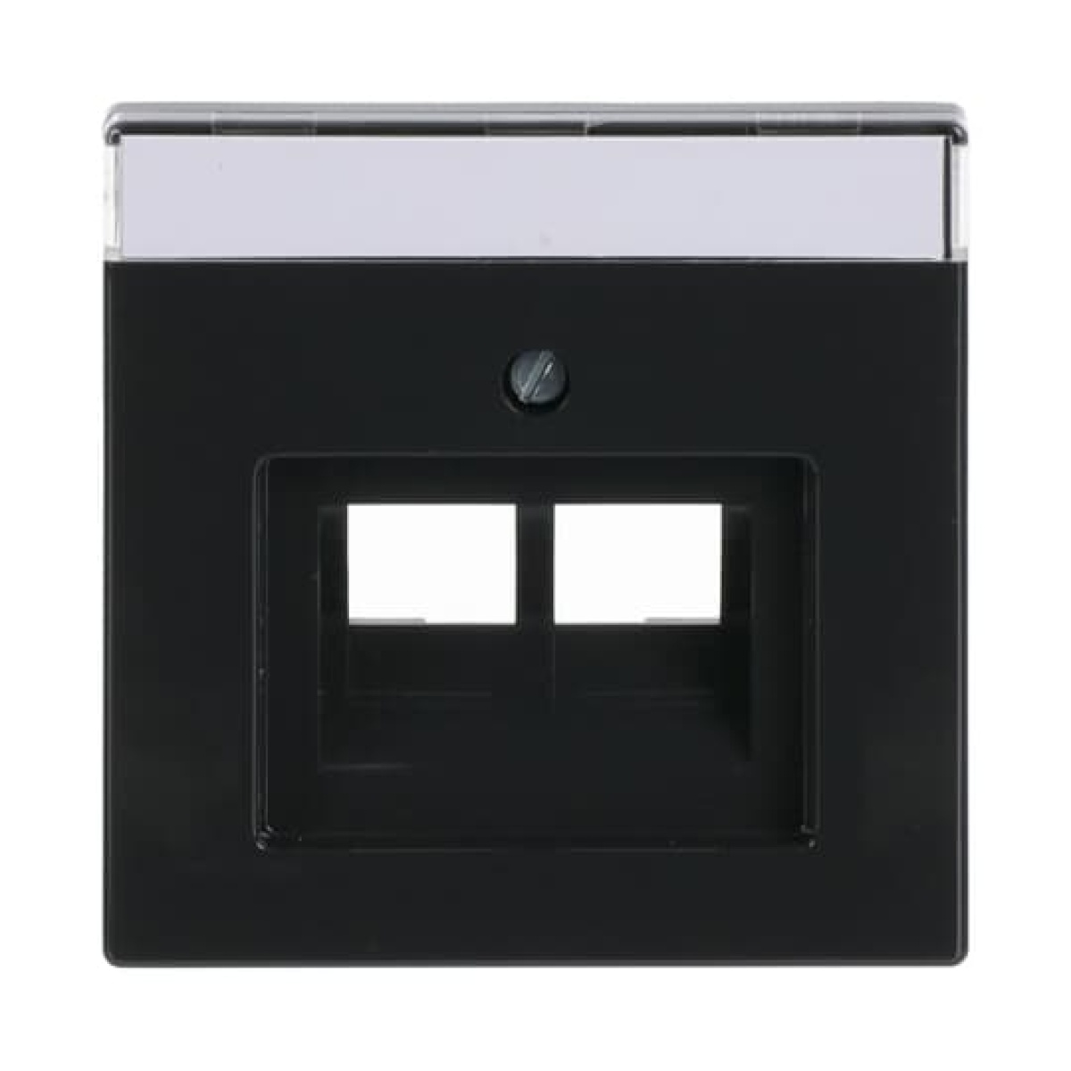 Cover plate with labelling field UAEIAE ISDN 2 gang anthracite - Platform 63