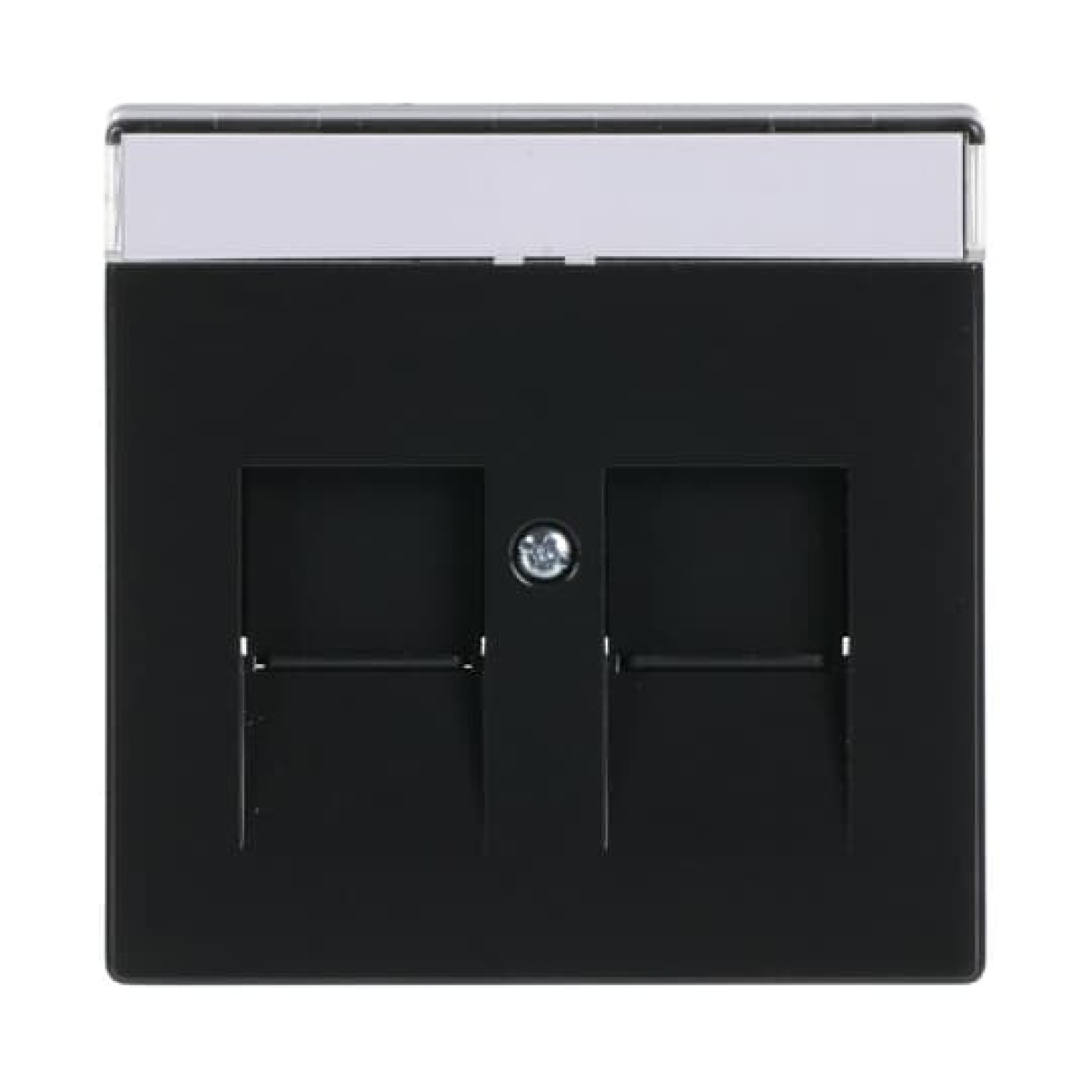Cover plate with labelling field Modular Jack 2 gang anthracite - Platform 63