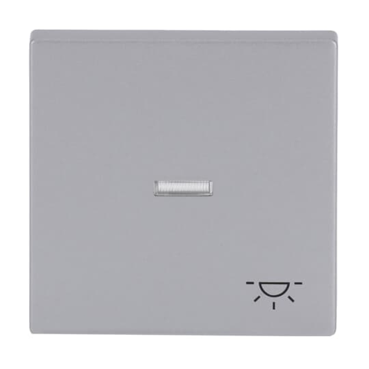 Rocker with legend Symbol "light" with Small Transparent Calotte for Switchpush button, Single rocker aluminium silver - Platform 63