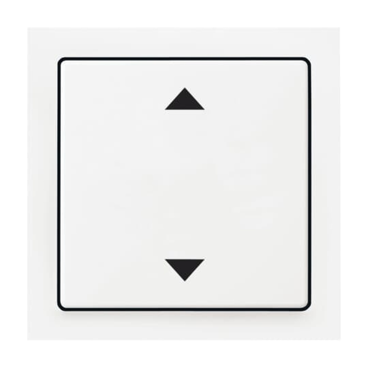 Cover plate with legend Symbol "light" with Small Transparent Calotte for Switchpush button, Single rocker aluminium silver - impuls