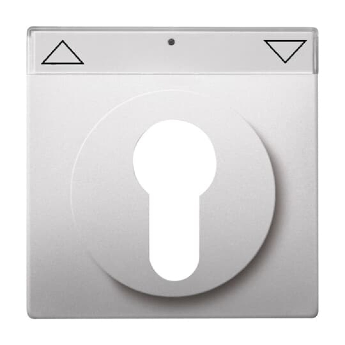 Cover plate with legend Symbol "arrows" or "0 - 1" for Venetian blind, Key stainless steel - Pure Stainless Steel