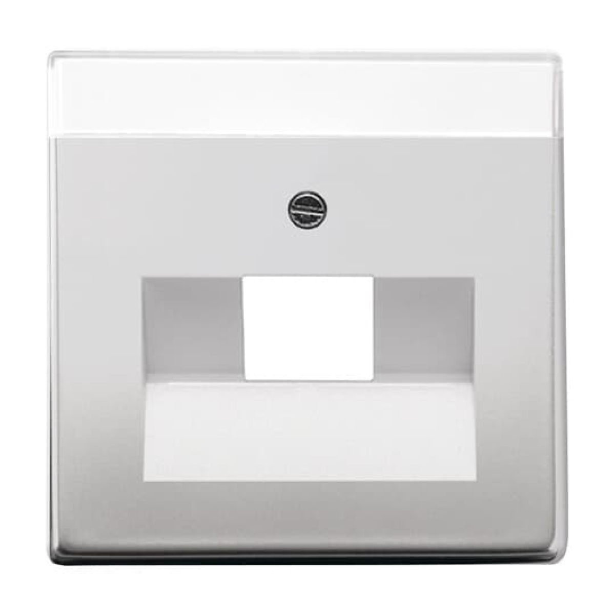 Cover plate with labelling field UAEIAE ISDN 1 gang stainless steel - Pure Stainless Steel