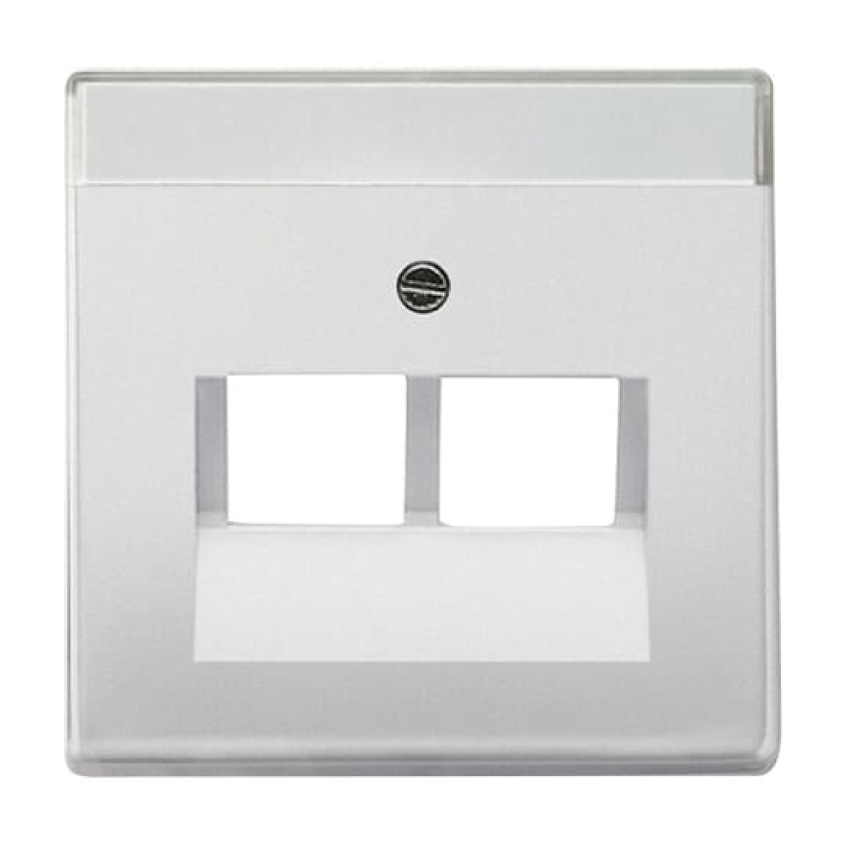 Cover plate with labelling field UAEIAE ISDN 2 gang stainless steel - Pure Stainless Steel
