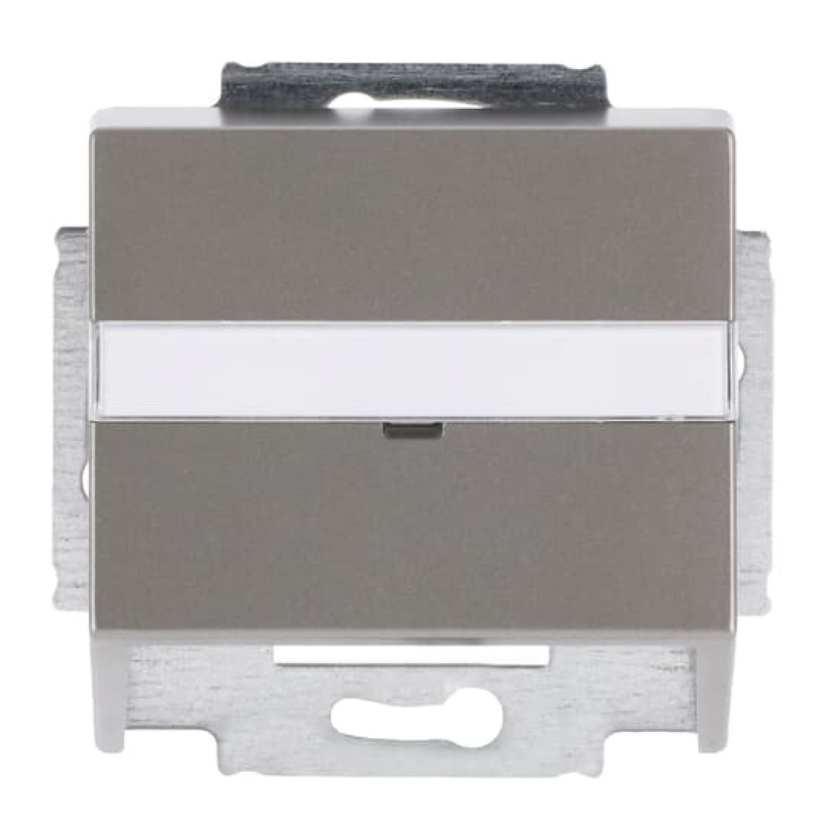 Cover plate with labelling field For data connection housing stainless steel - Pure Stainless Steel