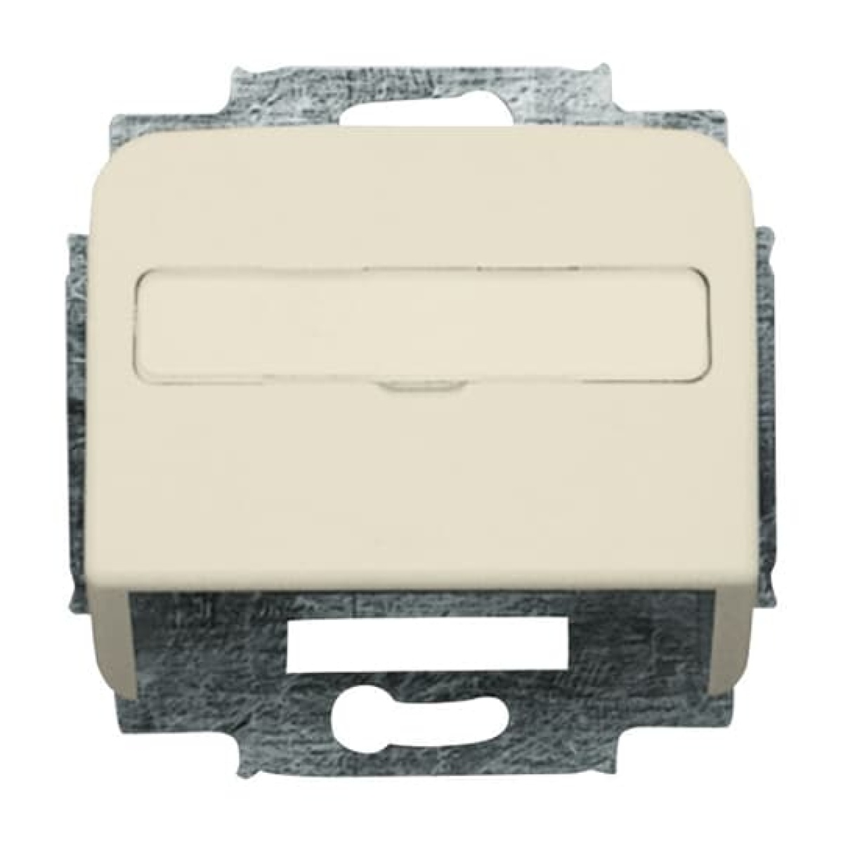 Cover plate with labelling field For data connection housing white - Busch-Duro 2000 SI