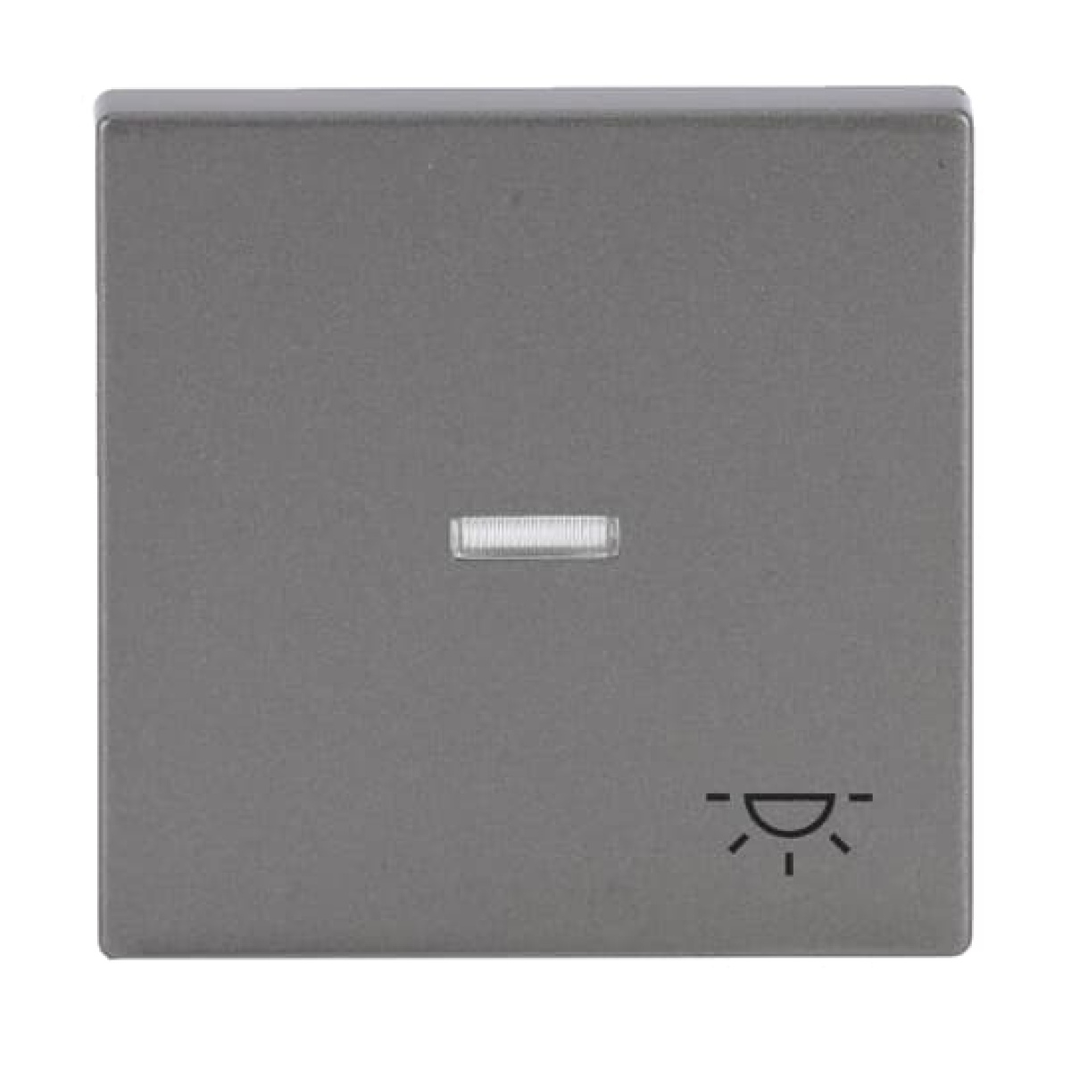 Rocker with legend Symbol "light" for Switchpush button, Single rocker grey metallic - Platform 63