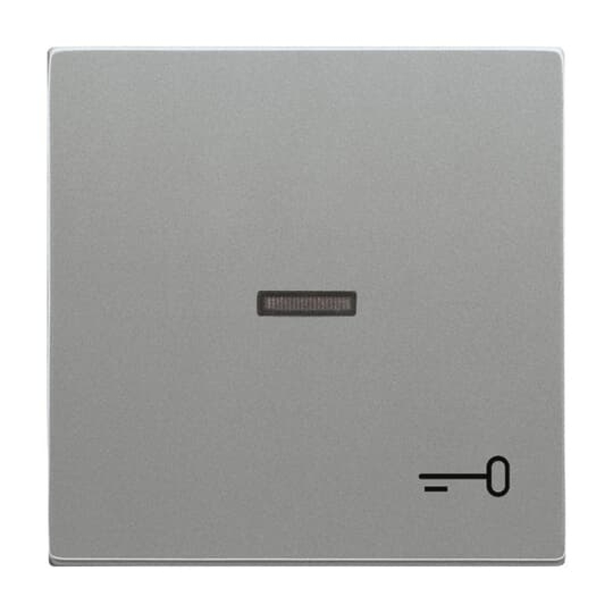 Rocker with legend Symbol "key" for Switchpush button, Single rocker grey metallic - Platform 63