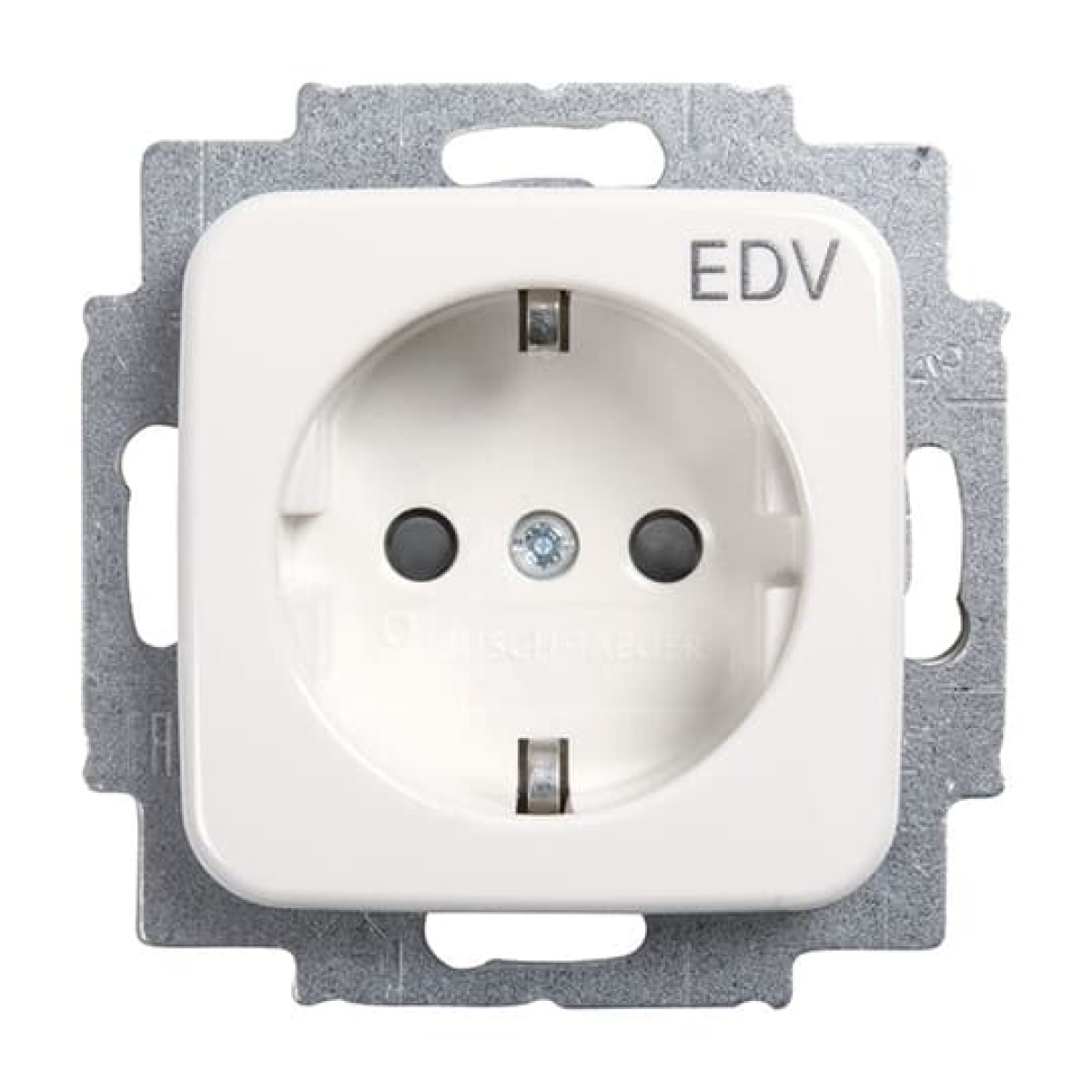 SCHUKO Socket insert with legend EDV Safety Shutter alpine white - Reflex SI