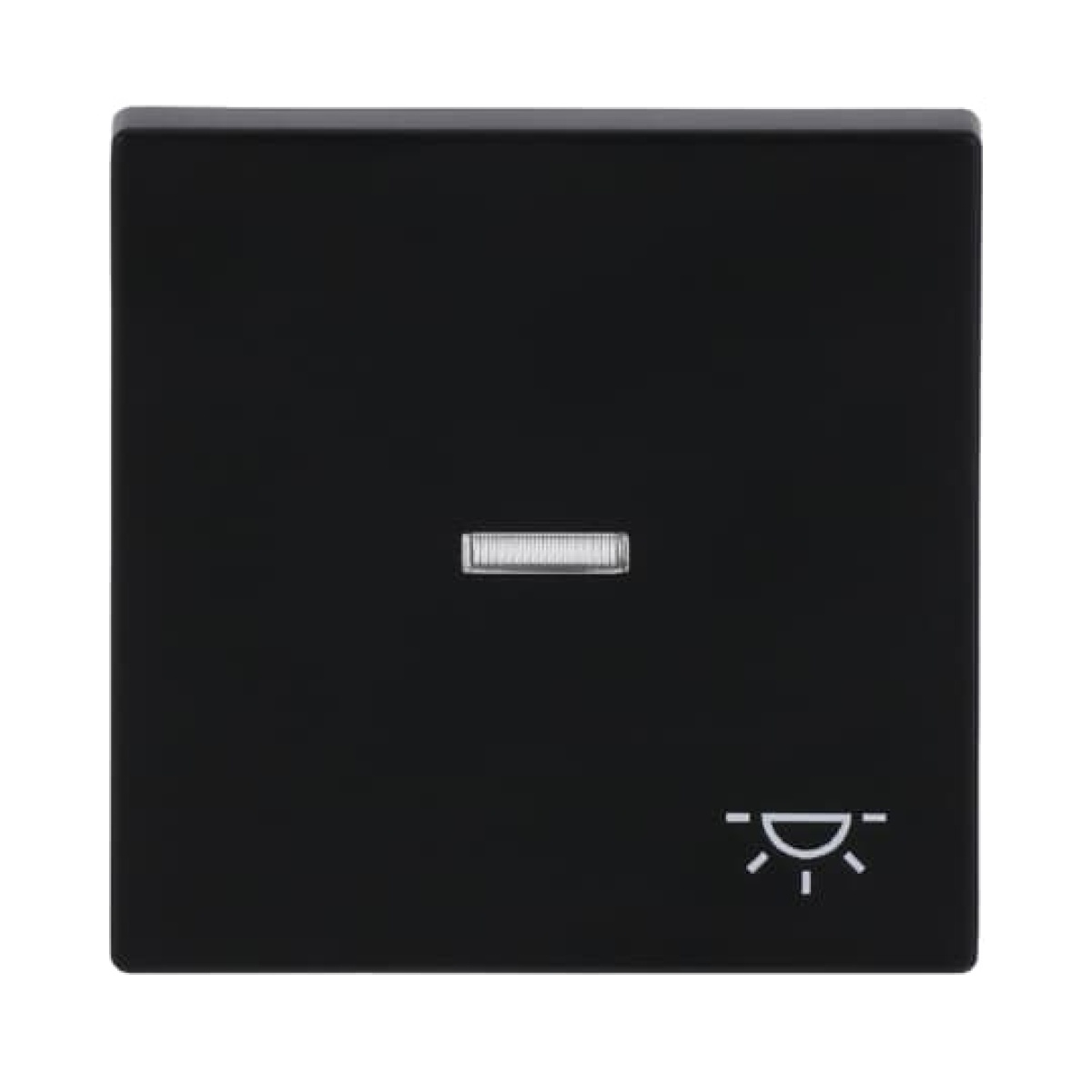 Rocker with legend Symbol "light" with Small Transparent Calotte for Switchpush button, Single rocker black matt - Platform 63