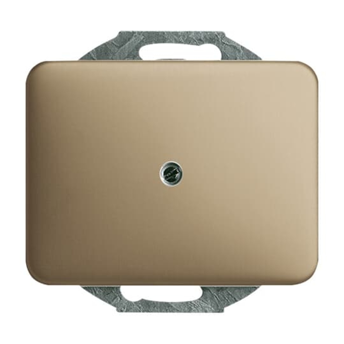 Cover plate Blind cap 1-gang with Mounting plate bronze - alpha