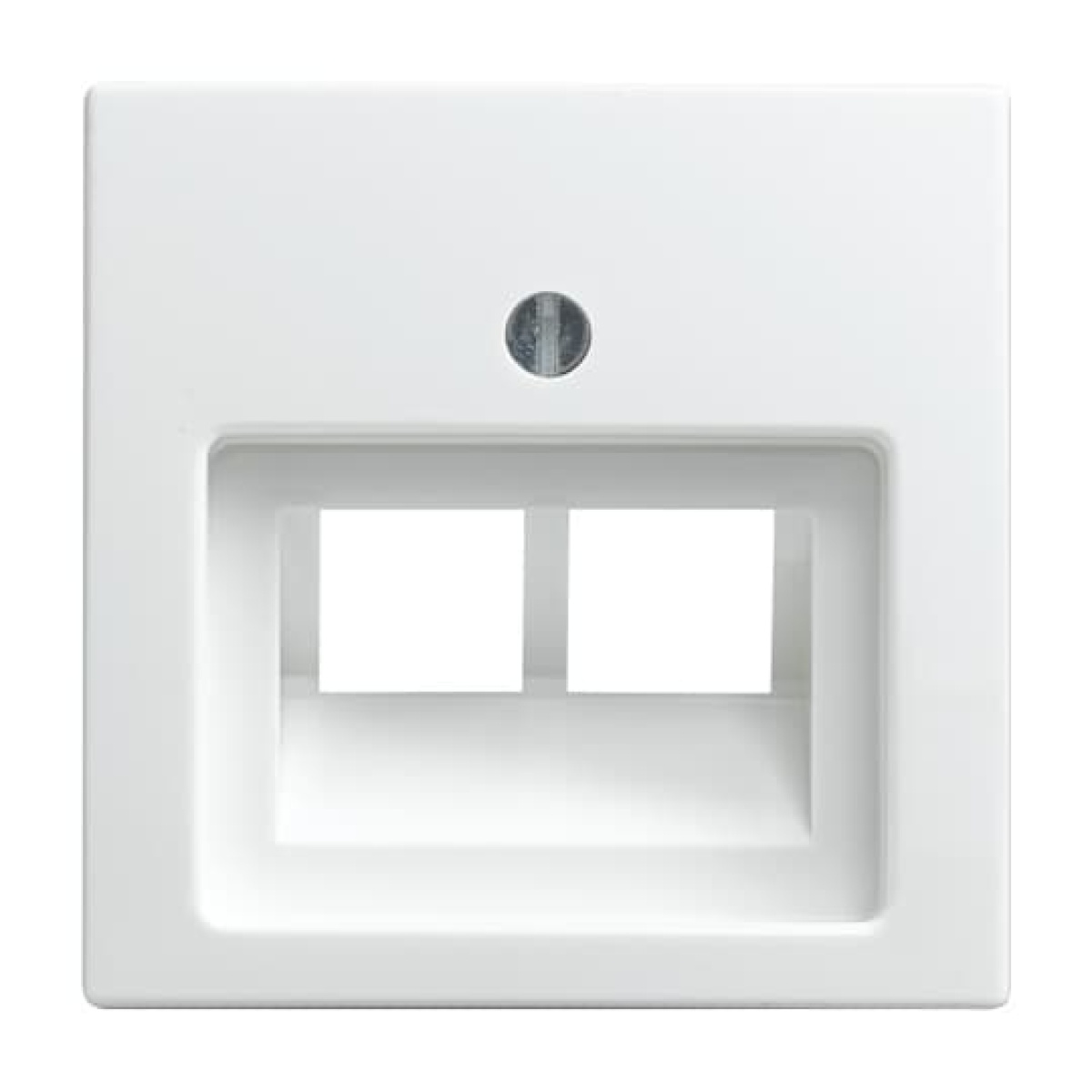 Cover plate UAEIAE ISDN 2 gang alpine white - Busch-balance SI