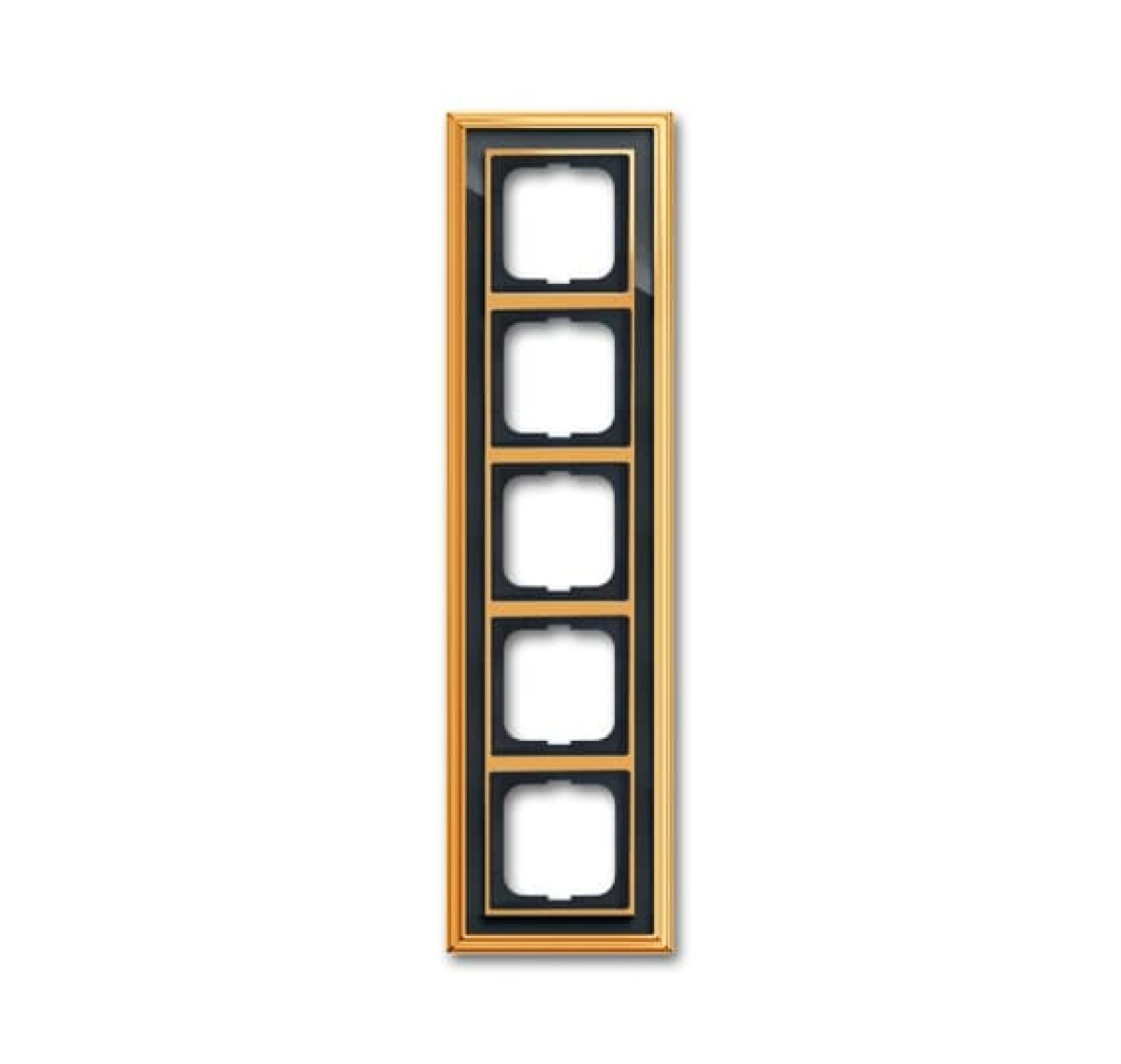 Cover frame 5-gang polished brass anthracite - Busch-Dynasty