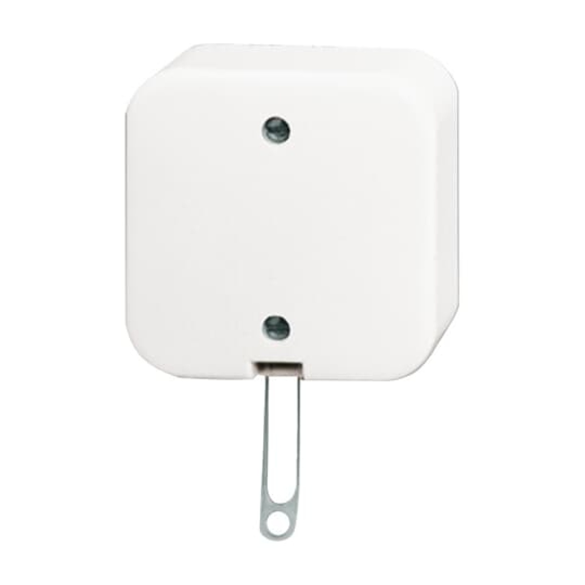 Pull cord switch Two-way switch alpine white - Busch-Duro 2000SM