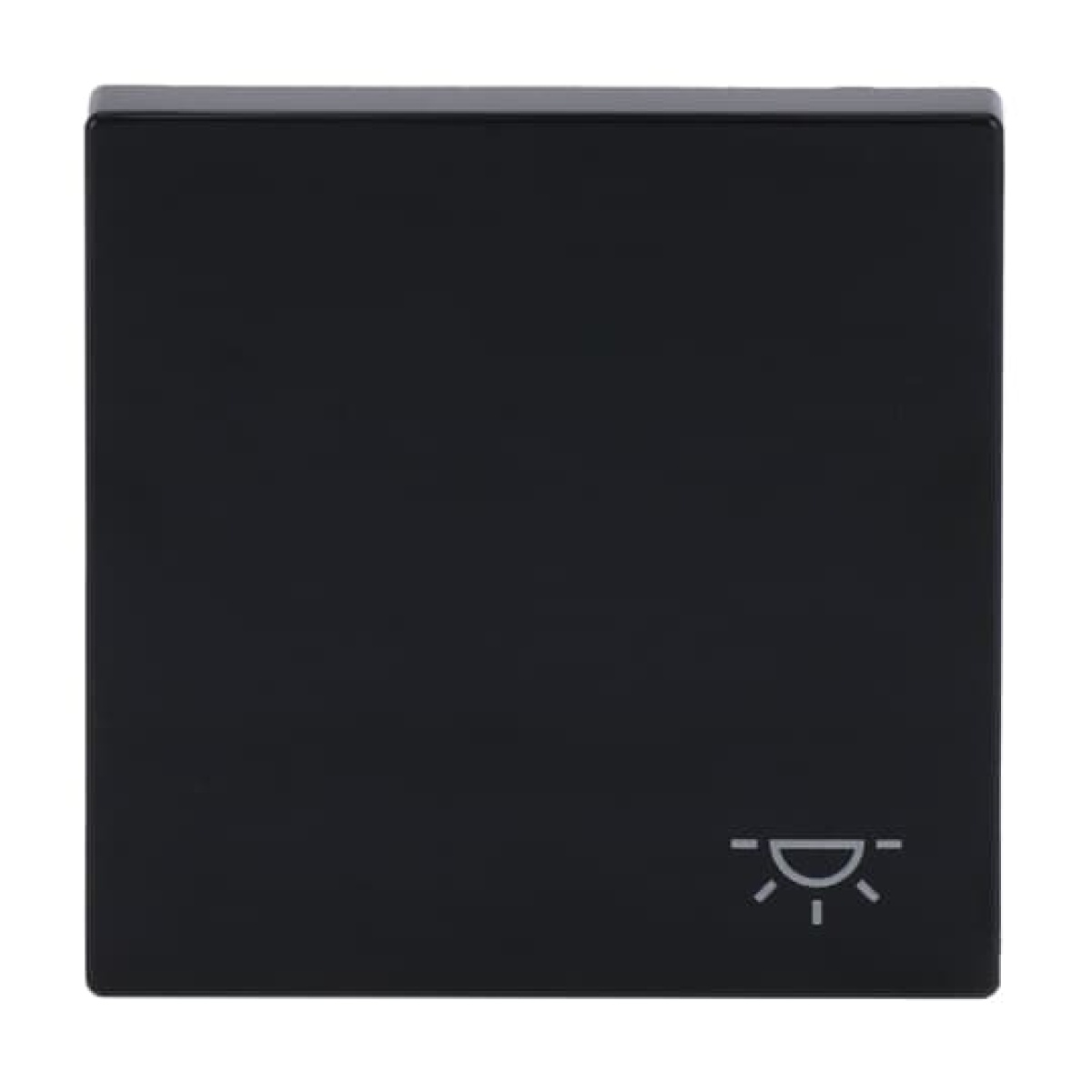Rocker with legend Symbol "light" for Switchpush button, Single rocker anthracite - Platform 63