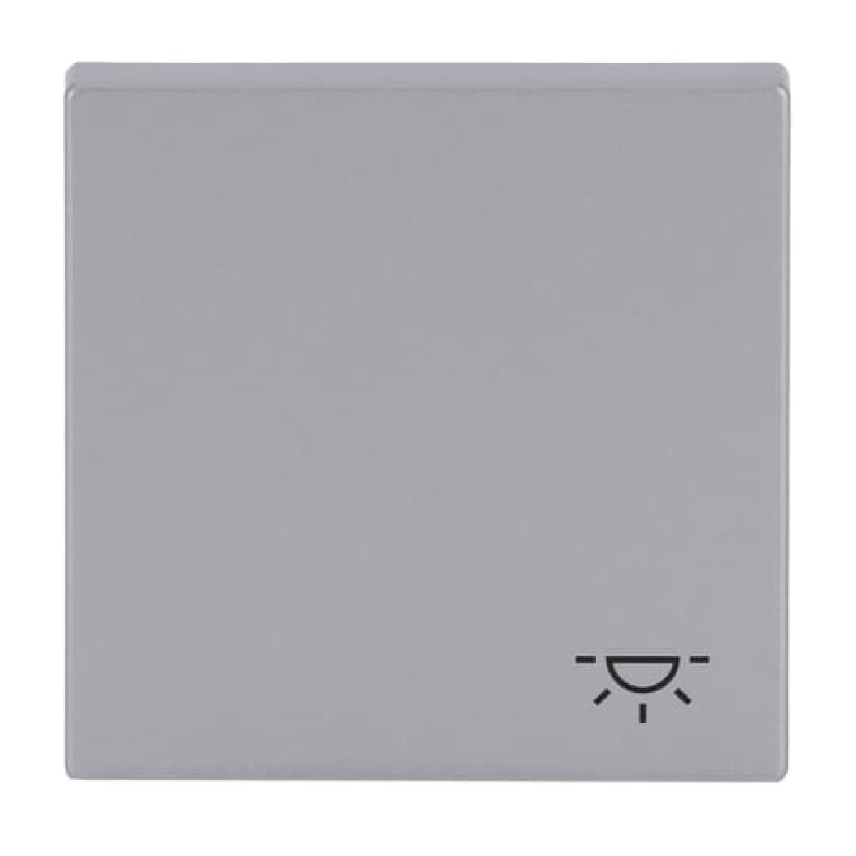 Rocker with legend Symbol "light" for Switchpush button, Single rocker aluminium silver - Platform 63