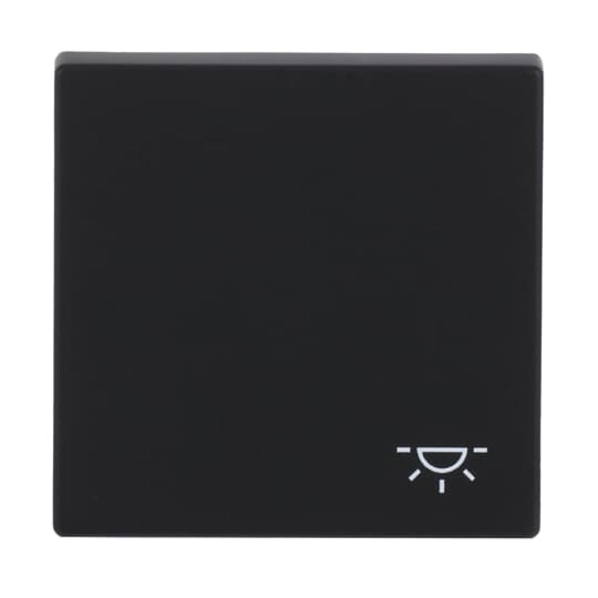 Rocker with legend Symbol "light" for Switchpush button, Single rocker black matt - Platform 63