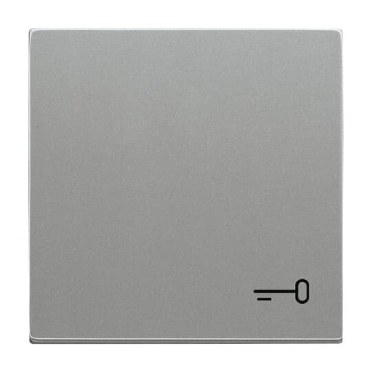 Rocker Symbol "key" for Switchpush button, Single rocker grey metallic - Platform 63