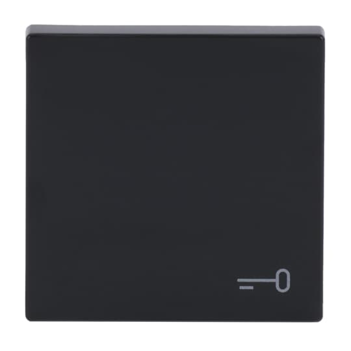 Rocker with legend Symbol "key" for Switchpush button, Single rocker anthracite - Platform 63