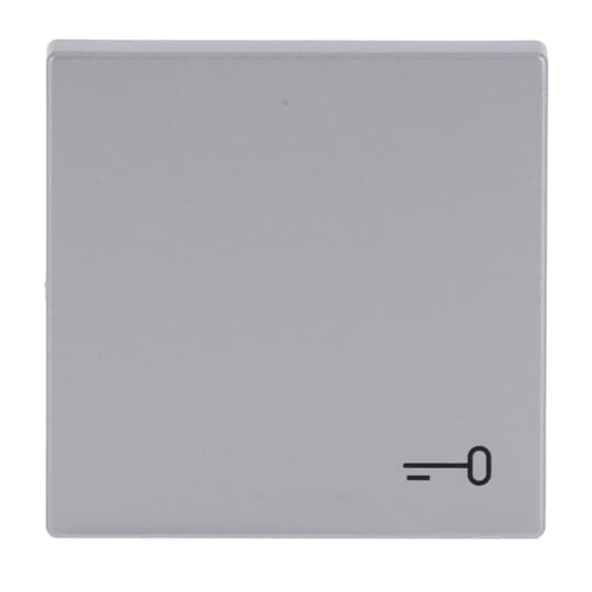 Rocker with legend Symbol "key" for Switchpush button, Single rocker aluminium silver - Platform 63