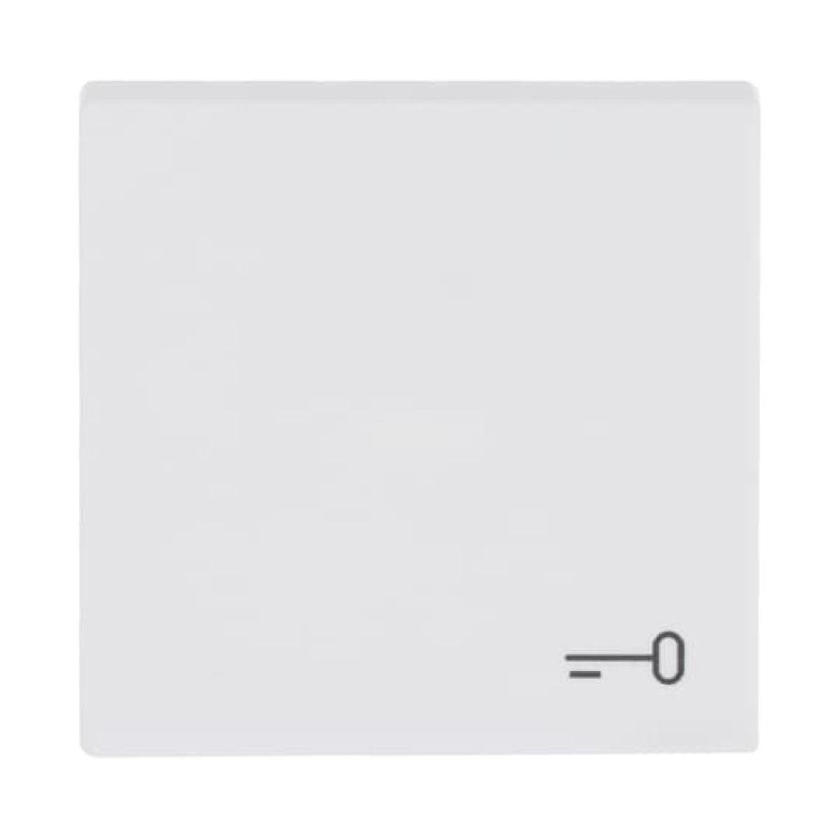 Rocker with legend Symbol "key" for Switchpush button, Single rocker studio white matt - Platform 63
