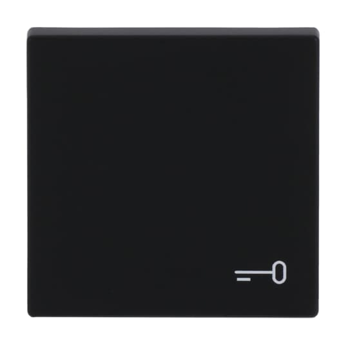 Rocker with legend Symbol "key" for Switchpush button, Single rocker black matt - Platform 63