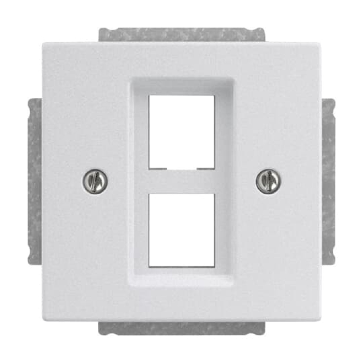 Cover plate Modular Jack 2 gang aluminium silver - Platform 63