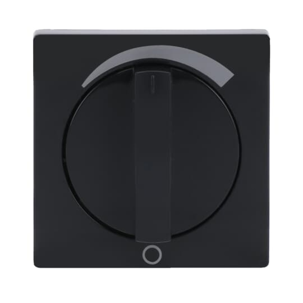 Cover plate with legend Loudspeaker Turn button anthracite - Platform 63