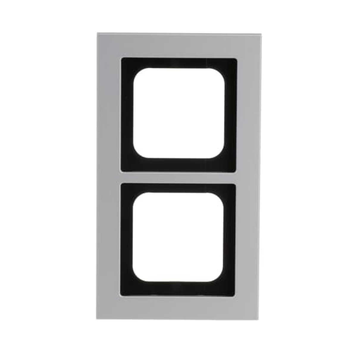 Cover frame 2-gang titanium - Busch-axcent pur