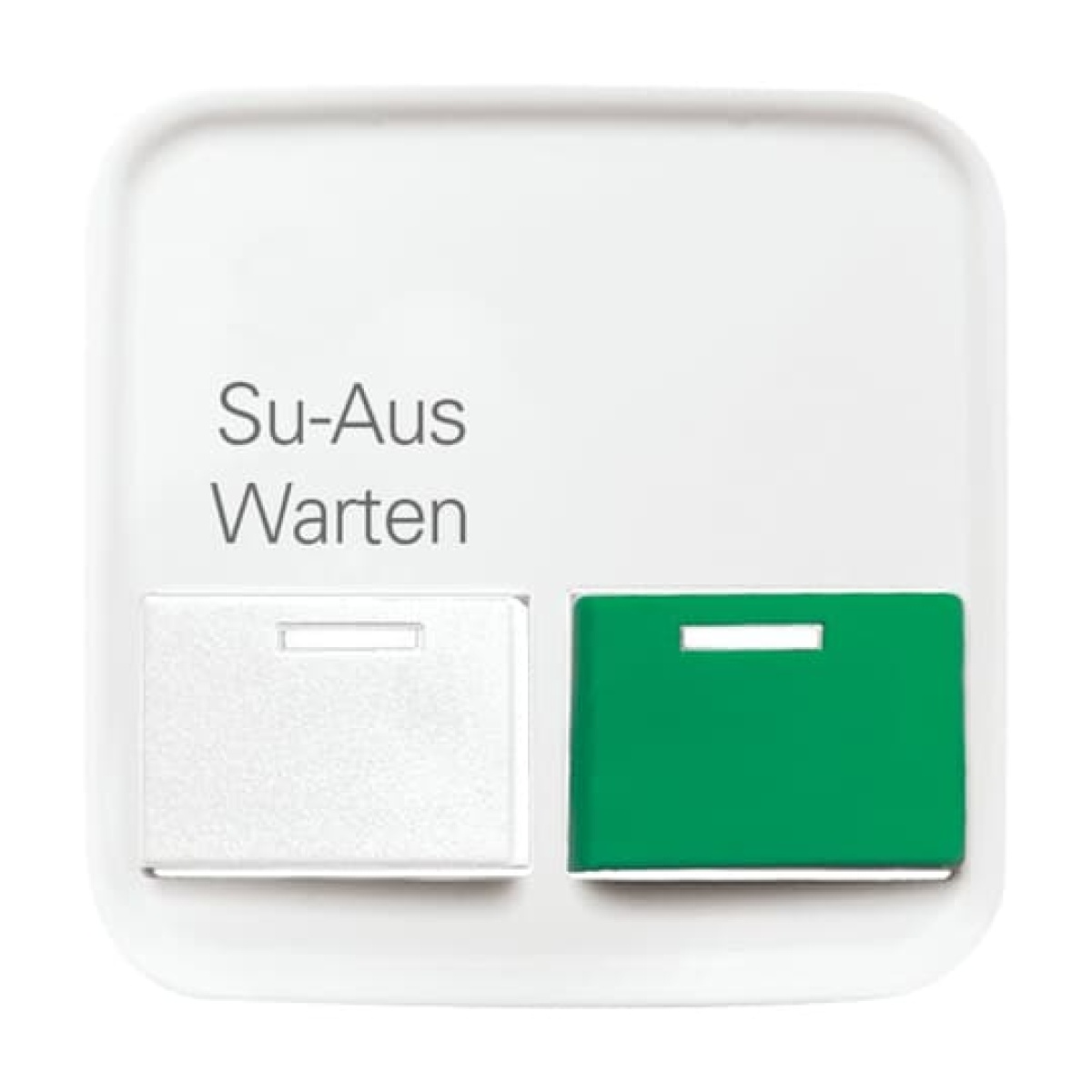 Cover plate 2 gang White  Green alpine white - Reflex SI