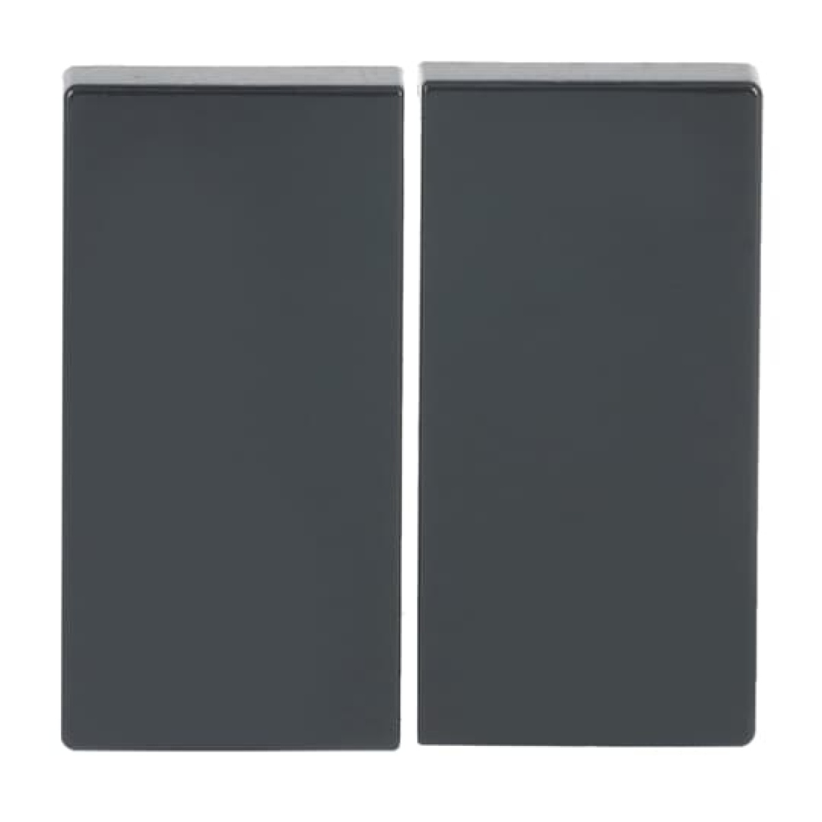 Rocker for Smart switch Two-part rocker anthracite - Platform 63