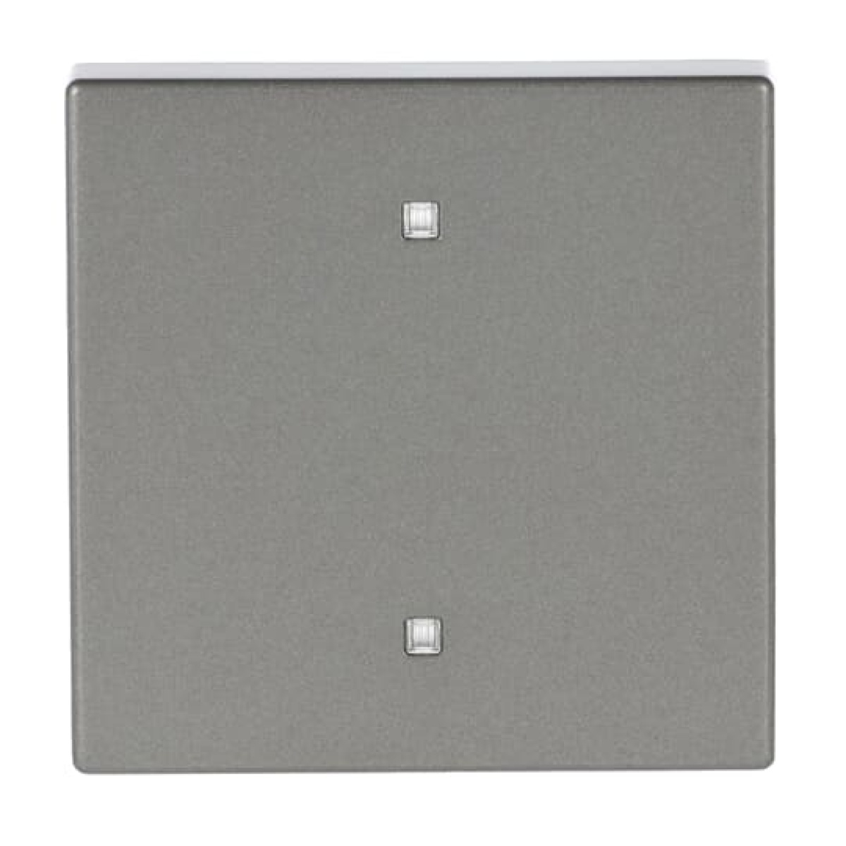 Rocker for Switchpush button Single rocker grey metallic - Platform 63