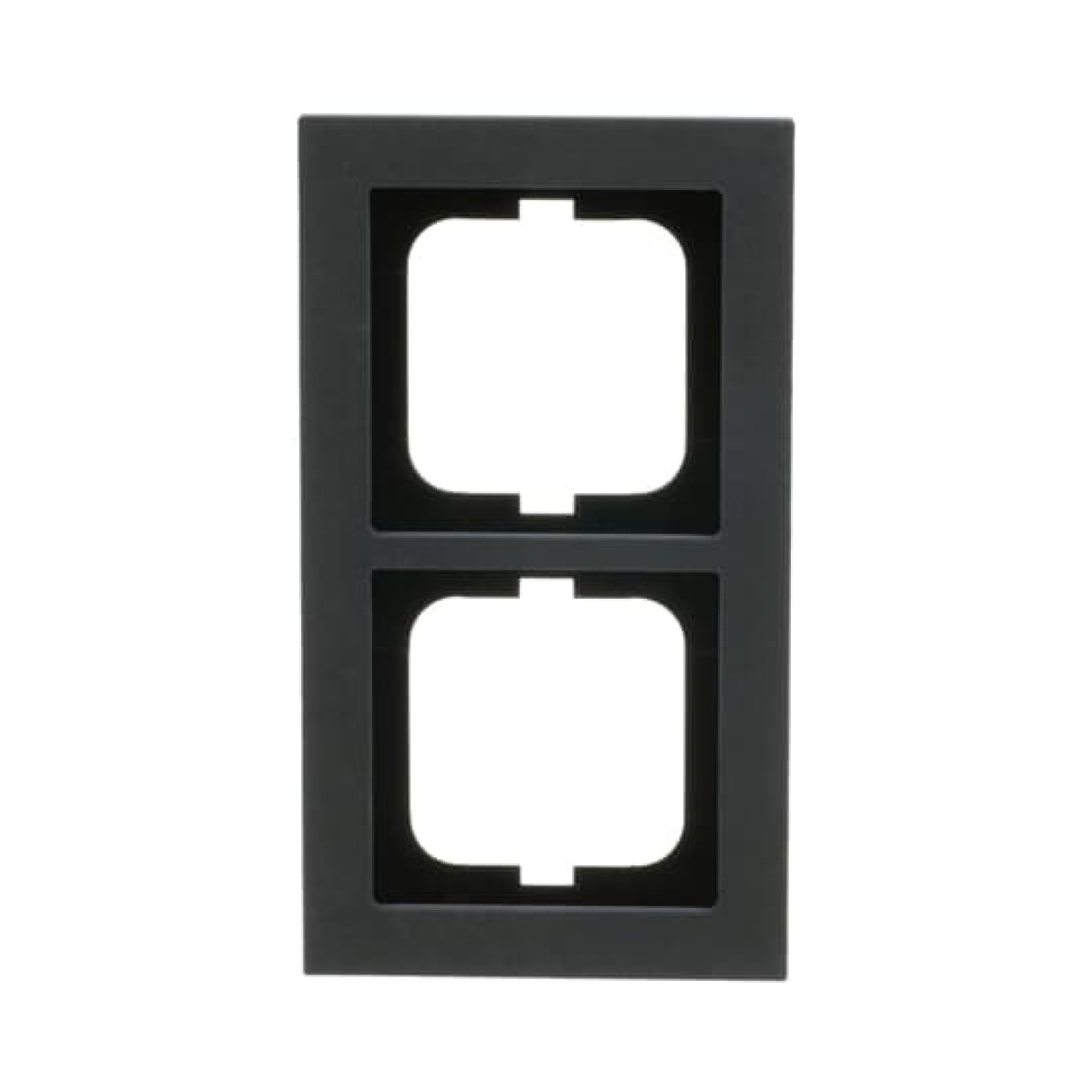 Cover frame 2-gang slate grey - Busch-axcent pur