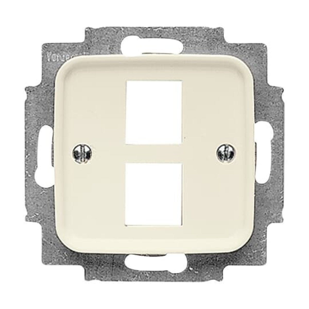 Cover plate Modular Jack 2 gang white - Busch-Duro 2000 SI