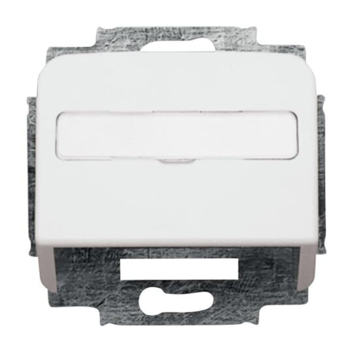 Cover plate with labelling field For data connection housing alpine white - Reflex SI