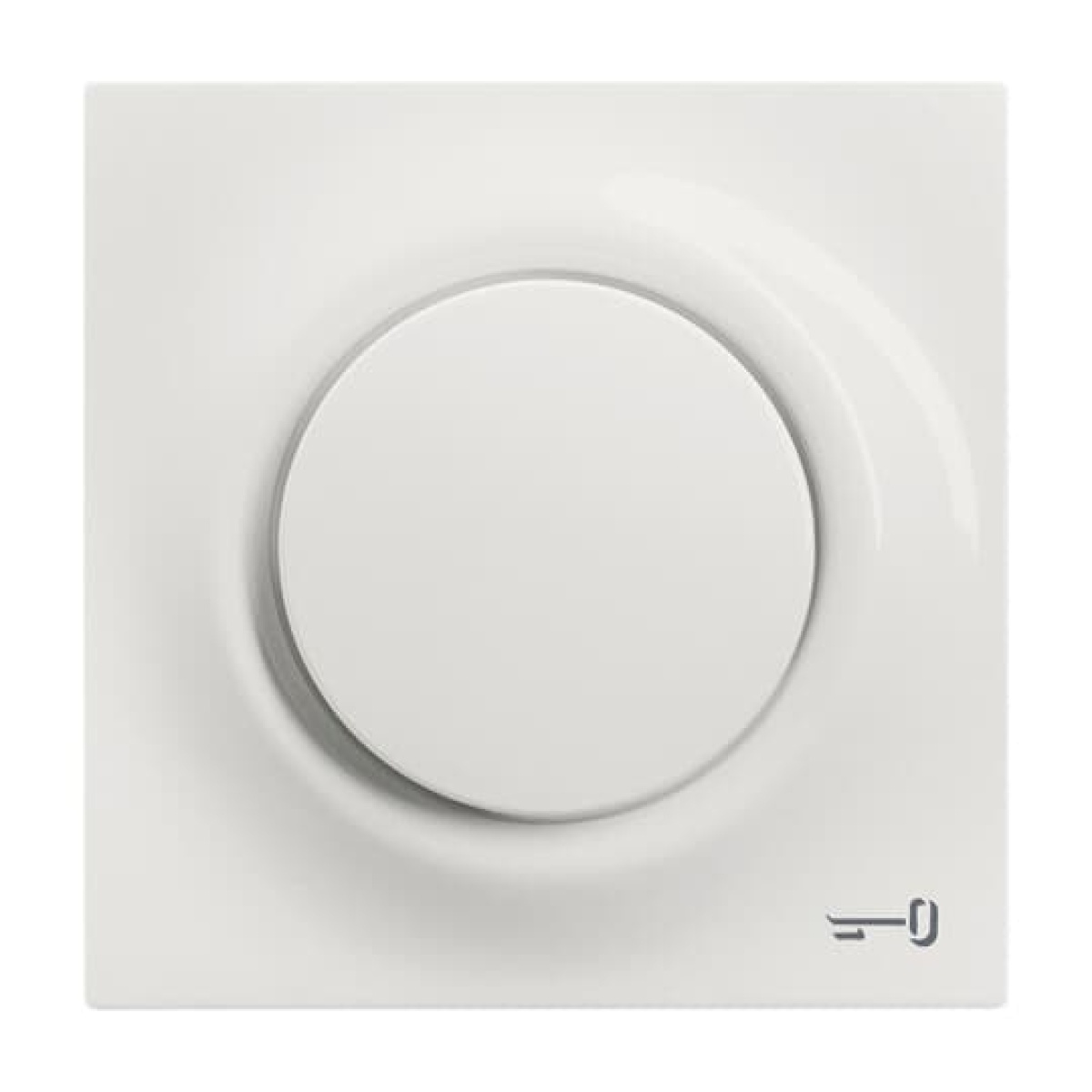Cover plate Symbol "key" with Small Transparent Calotte for Switchpush button, Single rocker alpine white - impuls