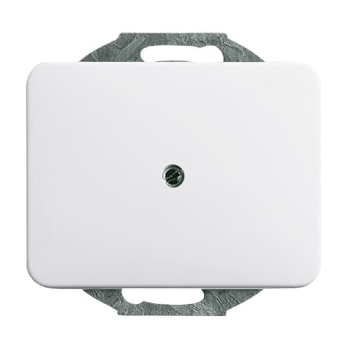 Cover plate Blind cap 1-gang with Mounting plate studio white - alpha