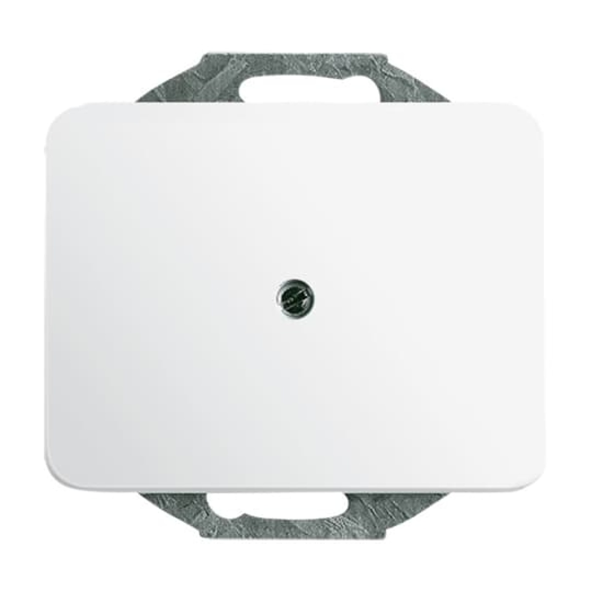 Cover plate Cable outlet 1-gang with Mounting plate studio white - alpha