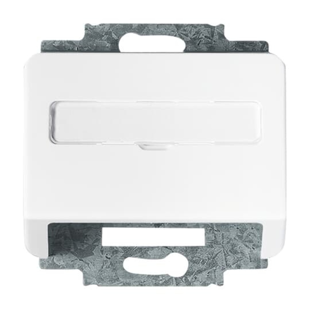 Cover plate with labelling field For data connection housing studio white - alpha