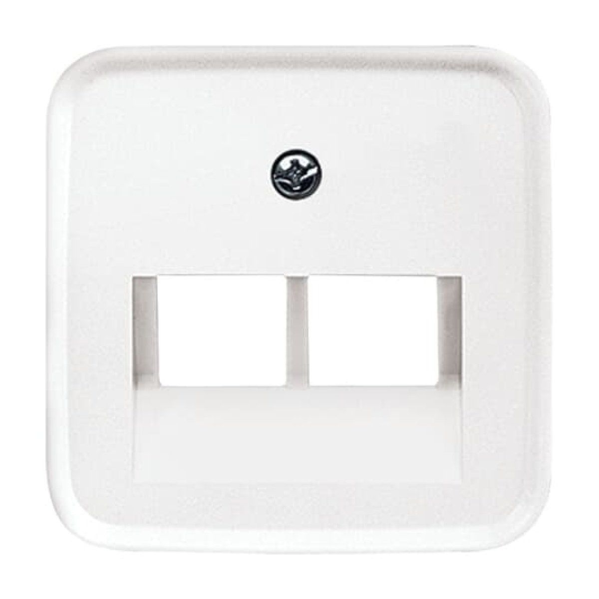 Cover plate UAEIAE ISDN 2 gang alpine white - Reflex SI