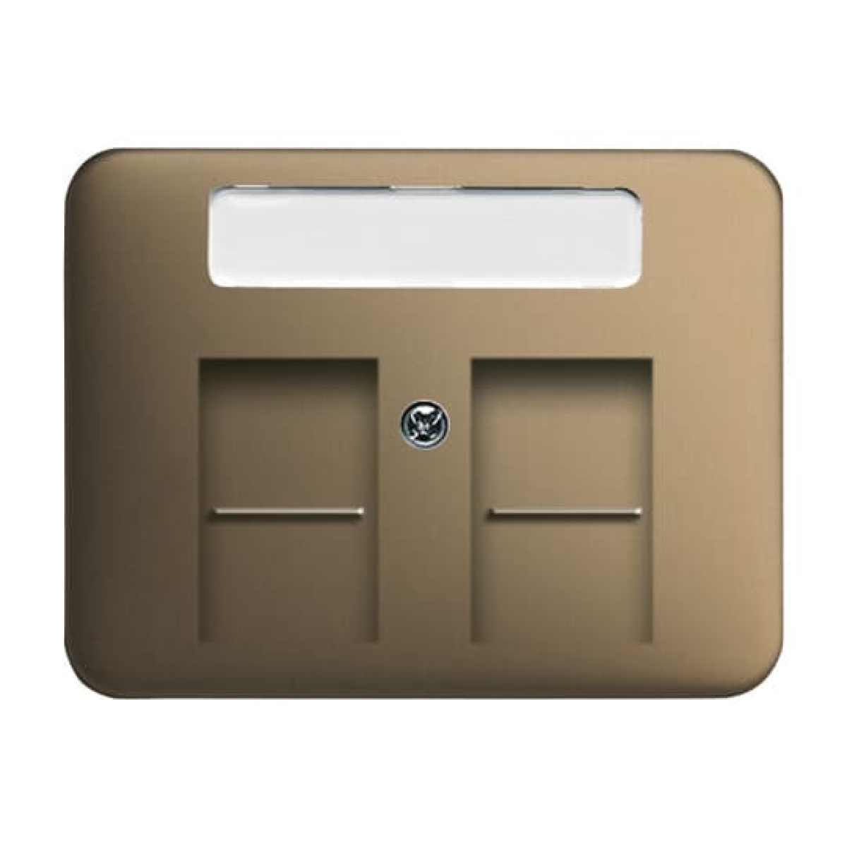 Cover plate with labelling field Modular Jack 2 gang bronze - alpha