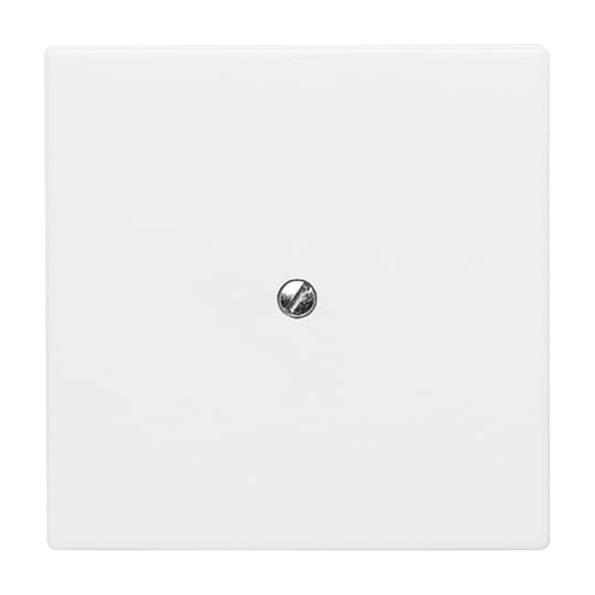 Cover plate Blind plate alpine white - Allwetter 44 IP 44