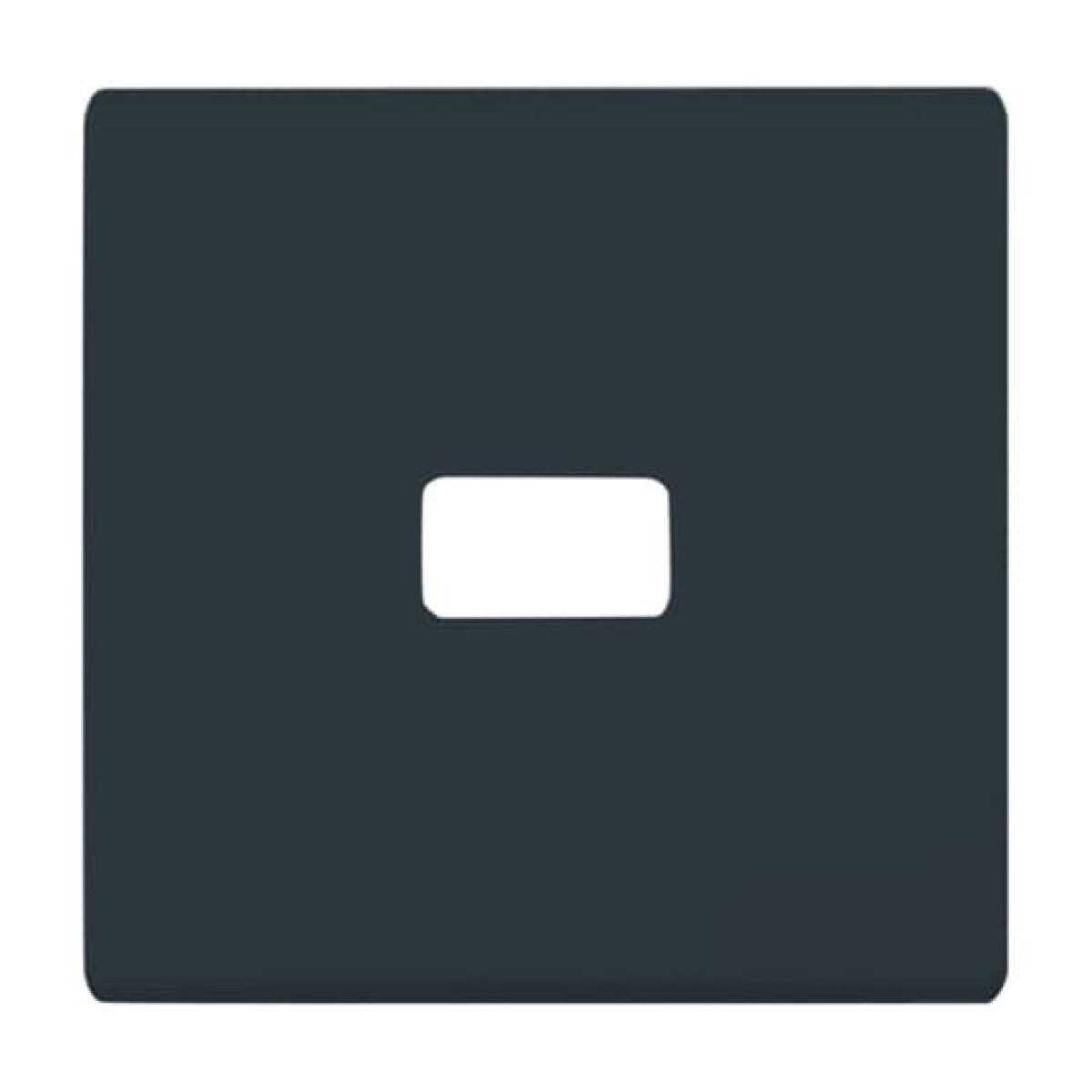 Rocker with legend for Switchpush button, Single rocker anthracite - Allwetter 44 IP 44