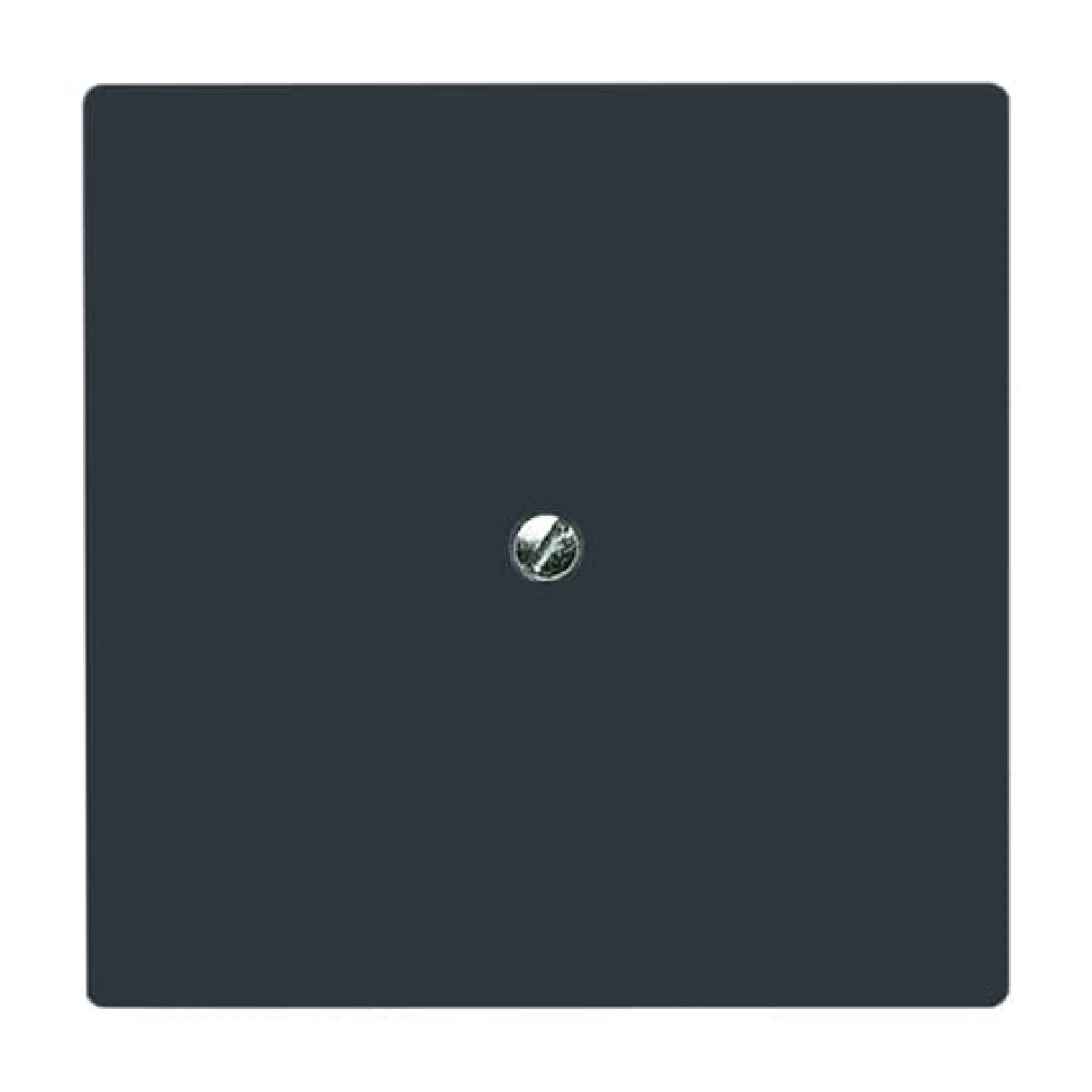 Cover plate Blind plate anthracite - Allwetter 44 IP 44