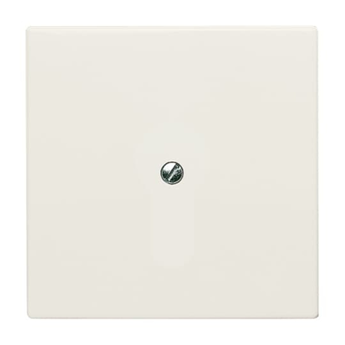 Cover plate Blind plate white - Allwetter 44 IP 44