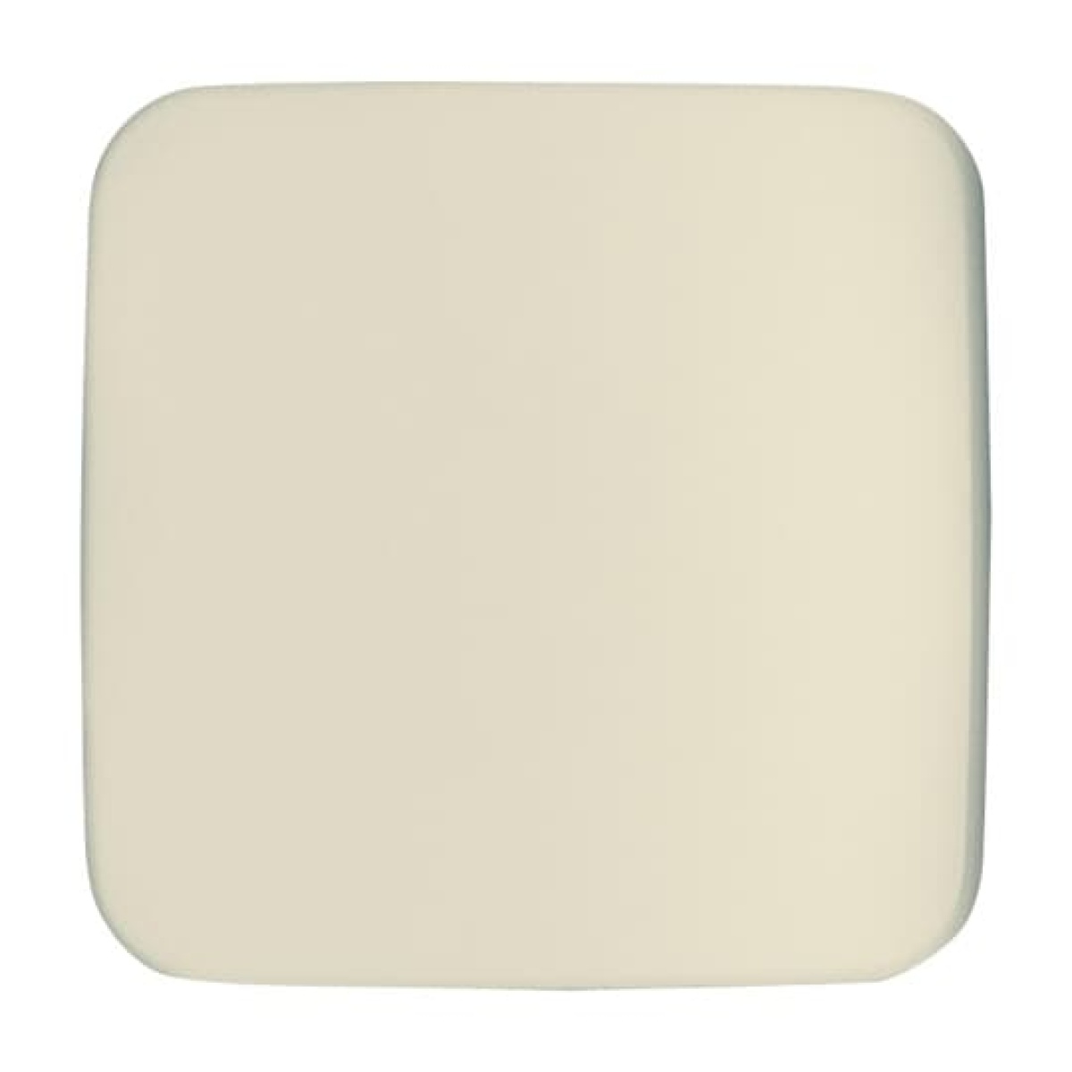 Cover plate white - Busch-Duro 2000 SI