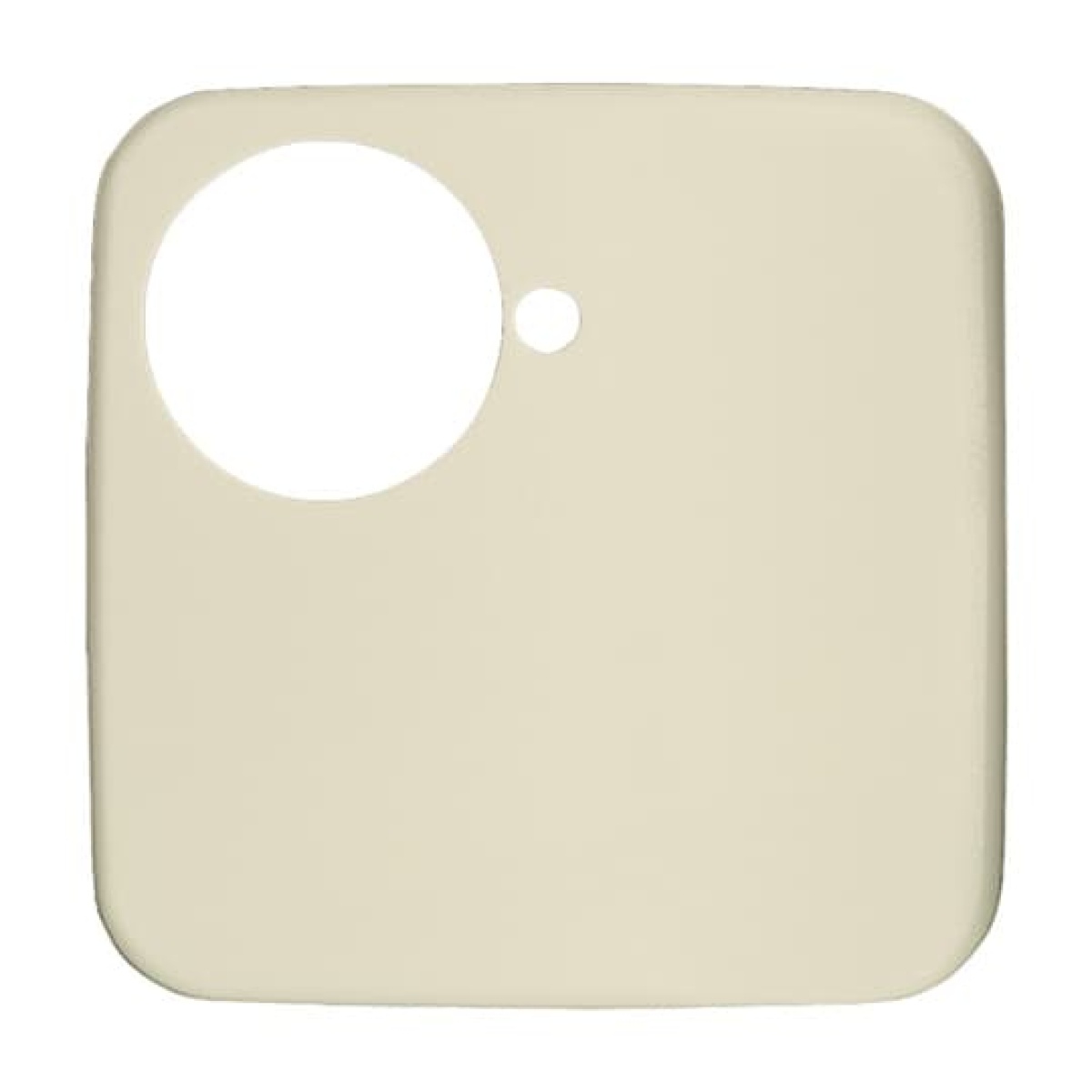 Cover plate white - Busch-Duro 2000 SI