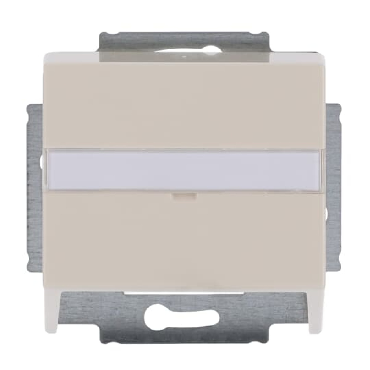 Cover plate with labelling field For data connection housing ivory white - Platform 63