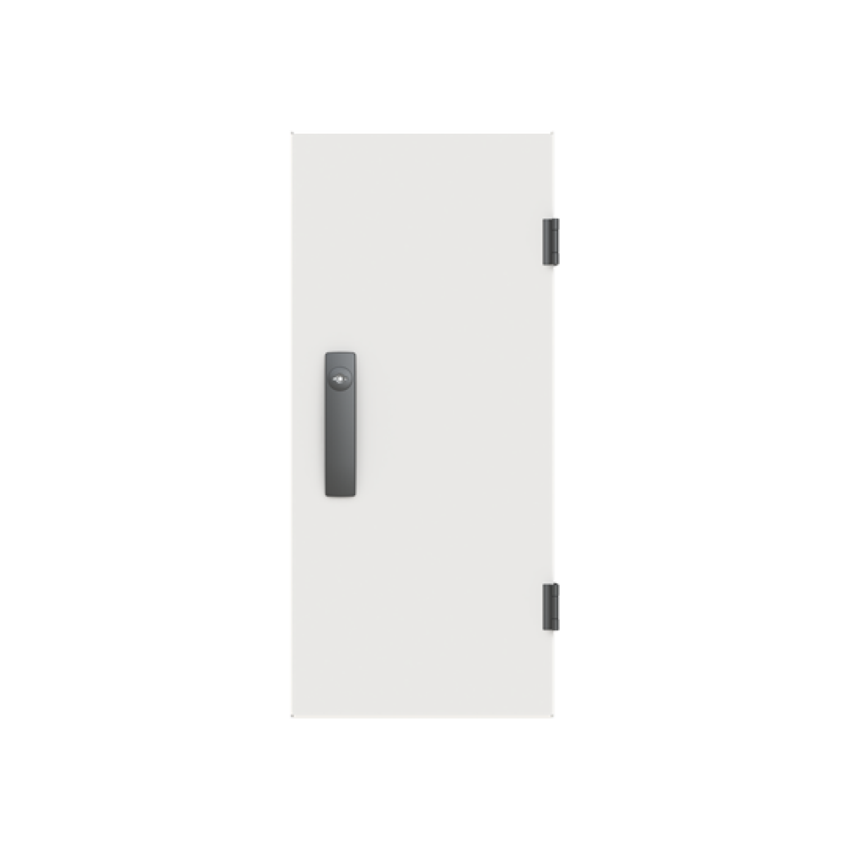 Door, 643 mm x 289 mm x 27 mm, IP55