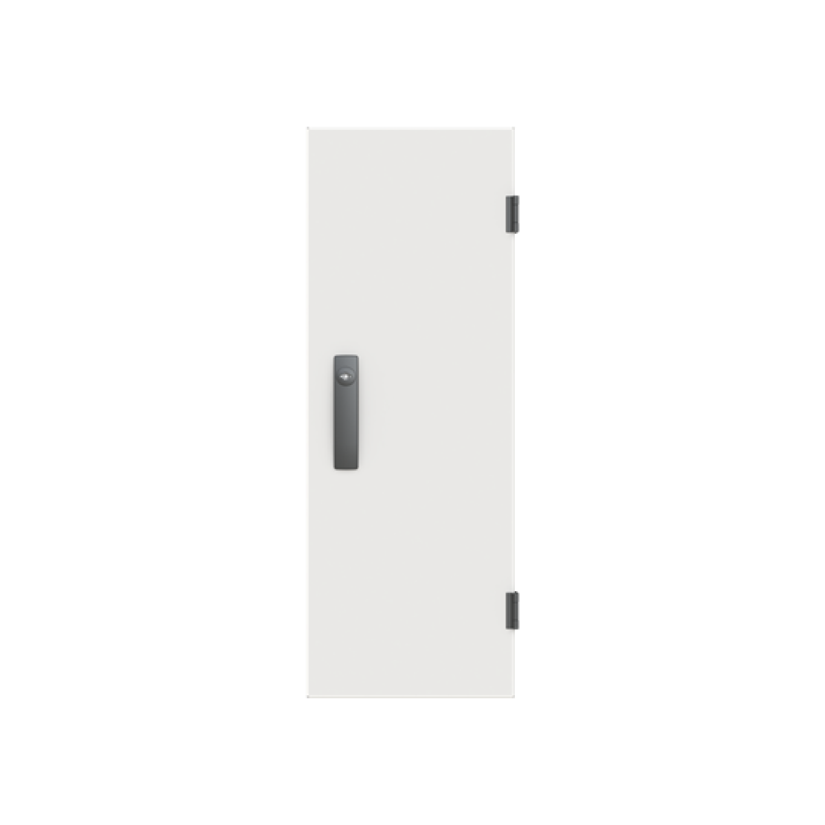 Door, 793 mm x 289 mm x 27 mm, IP55